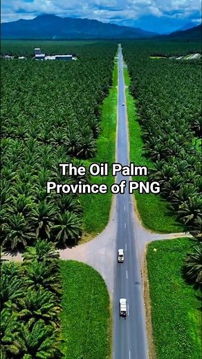 The Land of Oil Palm and diverse cultures, West New Britain Province.