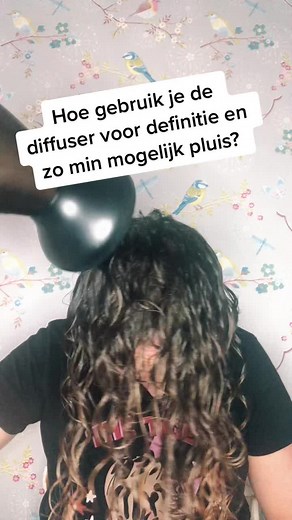 Föhnen met de diffuser zonder pluis #voorjou #fy #foryou #foryoupage #cg #cgmethode #curlygirl #krullen #curls #haarroutine #haartutorial #haarstyling