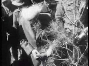 The Spielberg Jewish Film Archive - The Day Came