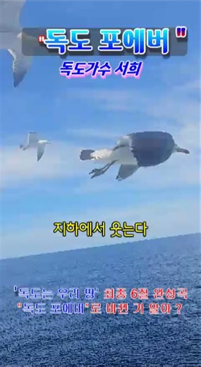 울릉도독도박물관#도동항#도동항야경#서희#독도가수서희#독도박물관#독도는한국땅#영토수호#독도#독도노래#저동항#독도사랑#외교부독도 #독도상식#애국심#한국인의얼 #독도가수서희#사동항