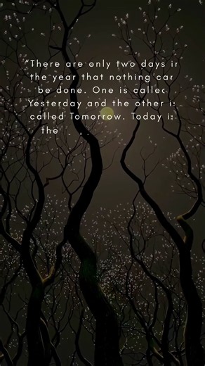 Yesterday and Tomorrow | Quote of the Day | Quote of Wisdom | Road to Success #quote #quotes #shorts