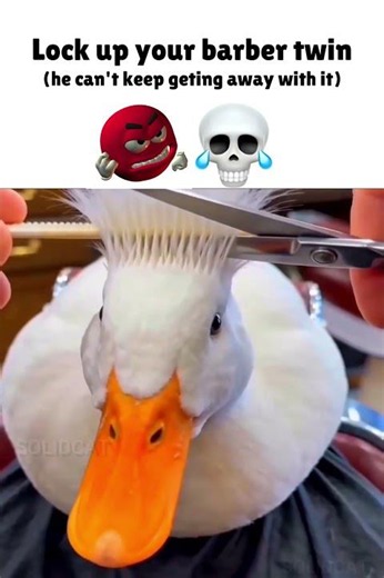 Barber cant keep getting away 😭
