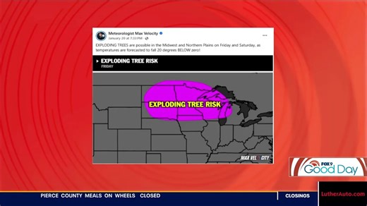 Do trees explode from extremely cold temperatures?