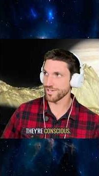 Are the Planets Conscious? Stephan Burns #consciousness