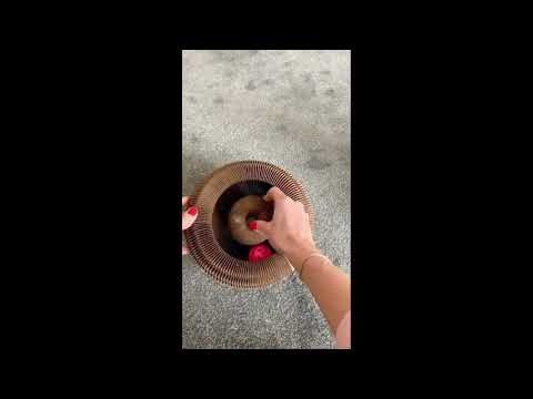 Magic Cat Scratcher — Foldable Honeycomb Round Toy & Furniture Saver