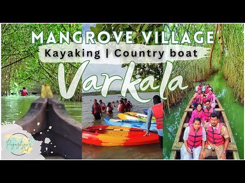 Varkala | Kayaking | Country Boat | Mangrove Kayaking | Mangrove Village Adventure | Tamil Vlog