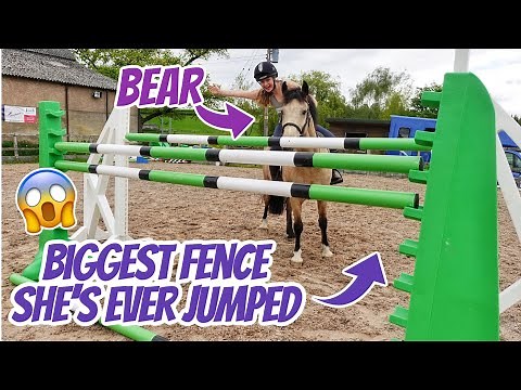 BEAR'S LAST JUMP ~ The biggest my pony has EVER jumped