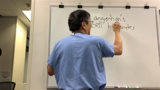 Langerhan's Cell Histiocytosis - 朗格汉斯细胞组织细胞增生症