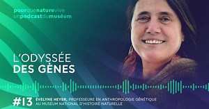 L'odyssée des gènes | Lumni Enseignement