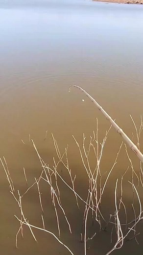 Fishing Techniques: Catching Fish with a Rod