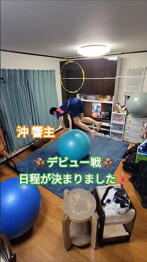 沖 響主 デビュー戦決定🏇 響ケ喝采🎵 西川貴教🎶 #動じない猫 #信頼関係 #船橋競馬場 #山中尊徳 #マッドリボンガール