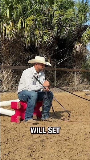 Are you being a good leader for your horse? Full video on Patreon!