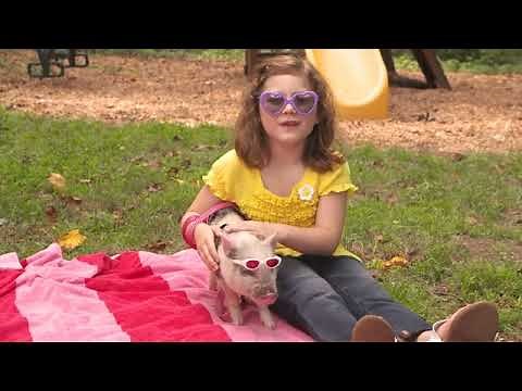 Wibbly Pig Launch Promo (2012)