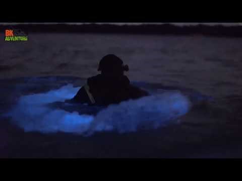Florida Bioluminescence Tour - Absolutely Magical! Clear Kayaks Make it Amazing to See.