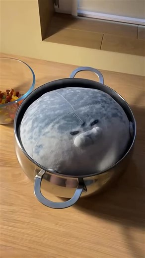 Chubseals on Instagram: "How to make seal, link in bio for a seal pillow! #seal #seals #funny #fypシ #viral"