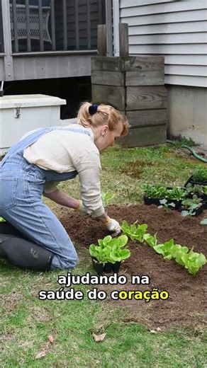 5 Plantas Essenciais para Sua Horta | Melhore Sua Saúde
