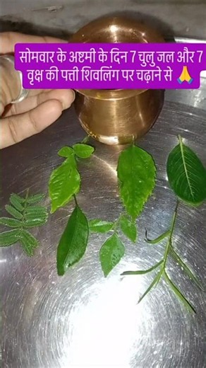 7 Offerings of water and 7 leaves on the Monday Ashtami 🙏🙏 #motivational #pradeepmishrajiremedies