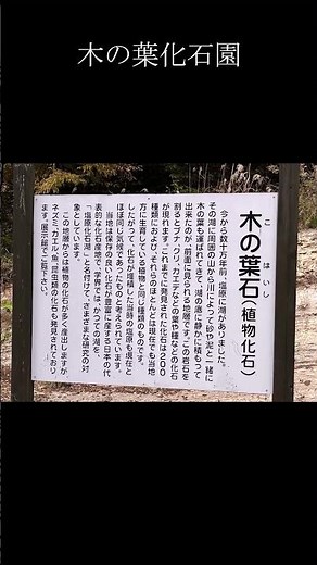 那須塩原の大地が眠る奇跡｜木の葉化石園の魅力を歩くHidden Gem of Nasushiobara｜The Fascinating World of the Leaf Fossil short#2