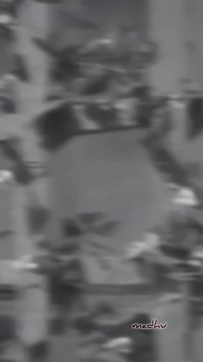 5.7K views · 8.7K reactions | Madhu Venkat on Reels | Facebook