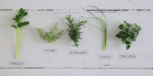 31K views · 728 reactions | Start an herb garden for your kitchen...