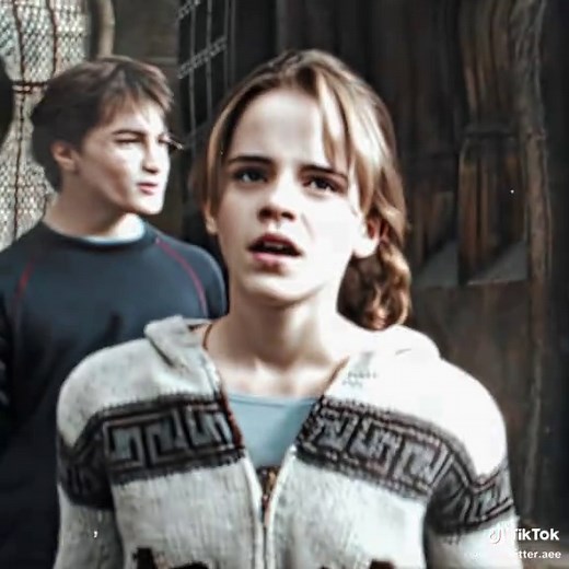 Hermione Granger's Clear Moments in Harry Potter