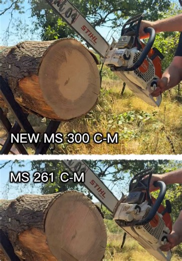 Hardwood cut speed test - NEW STIHL MS 300 C-M vs MS 261C-M #stihlchainsaw #stihl #ms300 #woodcut @STIHL Great Britain
