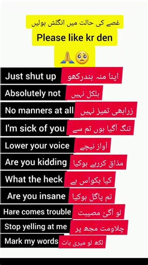 English to Urdu Sentence Translation for Beginners