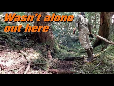 Alaska Trapline | Wasn't Expecting This On the Trapline
