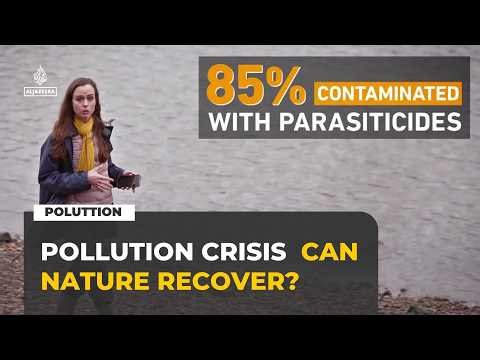 UK rivers polluted by chemicals and sewage as water reforms loom