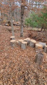 69K views · 1K reactions | Escape to this mountain pod for a zen retreat. Blue Heart Sanctuary #groundforcehumanitarianaid #HurricaneHelene #Gfha #groundforce | Ground Force Humanitarian Aid | Facebook