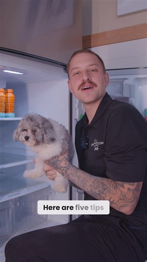 Potty training can feel overwhelming at first, but a few simple habits make a huge difference 🐶✨ In this video we’re sharing 5 potty training tips that actually work ✅Taking them out to the same spot ✅ Rewarding immediately… once they have done both ✅Watching for the signs ✅ Keeping a schedule ✅ Being patient and not punishing Progress is rarely perfect, especially in the first few weeks, but with time and consistency your puppy will start to understand exactly what you are asking from them. Sa