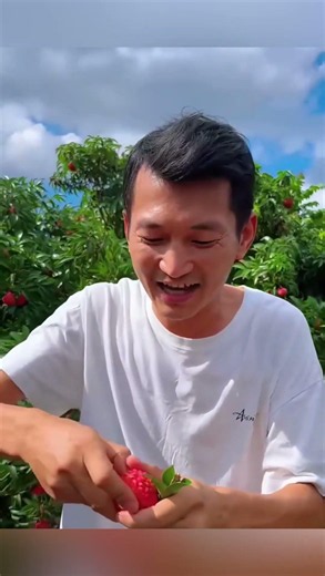 Why There's a Massive Lychee Surplus in China