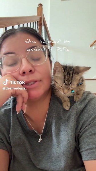 Mansion Cat Tower for My New Kitten