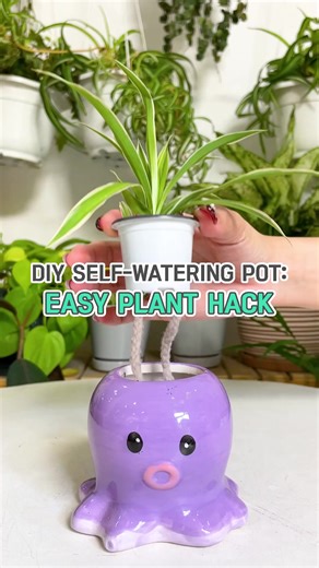 Keep your plants lush with minimal fuss! Watch how these self-watering pots keep your plants happy and hydrated 🚿🌿 #houseplants #selfwatering #selfwateringpots #DIY #indoorplants #planttips #watering | Succulents Box