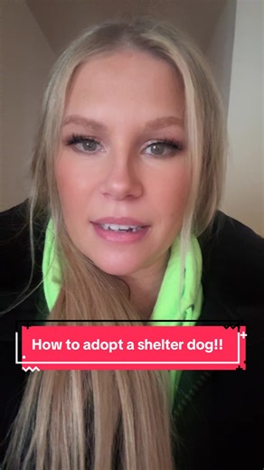 Adopt a shelter dog today! #rescuedogarmy❤️ #rescuedogarmy #fosteringsaveslives #adoptdontshop #rescuedog