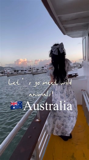 sakichoco on Instagram: ". . . 🇦🇺野生動物探しVlog . ★コアラ🐨 もふもふで癒された ★Prawn Star（プローンスター）🍴 @prawnstarcairns ケアンズの船上レストランといえば！のレストラン マリーナに停泊する船で新鮮なシーフードが楽しめる 生牡蠣や海老、サーモンすごく美味しかった ★アサートン高原にジャングル冒険 @mightyaussie シロアリはハーブみたいな味だった ロックワラビー可愛かった 運良くカモノハシに出会えた♡ ★クックアンドブルケアンズ🍴 @cocknbullcairns 日本人限定でGoogle口コミ書くと巨大パフェサービスしてくれる。ボリュームあるしお料理も美味しかった 店内もオシャレで雰囲気よかった ★ラピュタの木のモデルになった 樹齢500年の神的なカーテンフィッグツリー ★ポートダグラスに海の冒険 @quicksilvercruises シルバーソニック/わりとガチの人向け 透明度の高さ、魚の種類や数◎ 3箇所のポイン