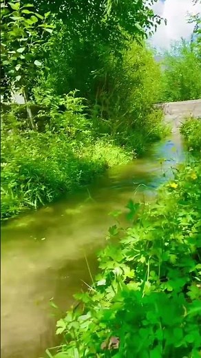 Karakoram Mountain Stream & Babbling Brook | 4K Nature Sounds 1