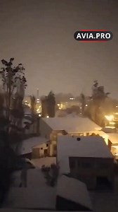 2.9K views · 70 reactions | In Turkey, strange behavior was observed in birds just before the earthquake via Twitter: OsintTV @OsintTV | Roar Wildlife News | Facebook