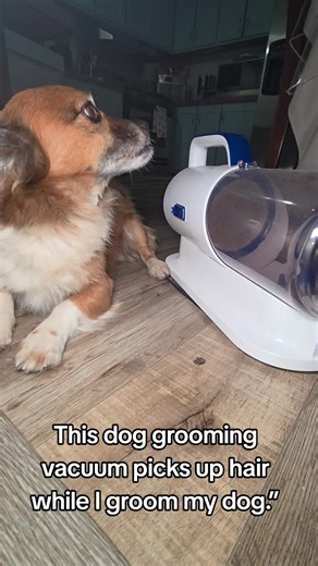 Effortless Dog Grooming with Vacuum Technology