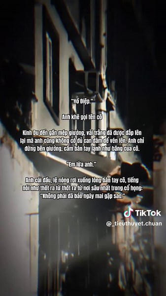 Truyện Ngôn Tình Kinh Du - Hồ Điệp