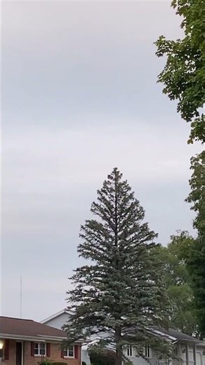 9.13.2025 - 4 Military Helicopters here for a flyover for Notre Dame’s first game of the season