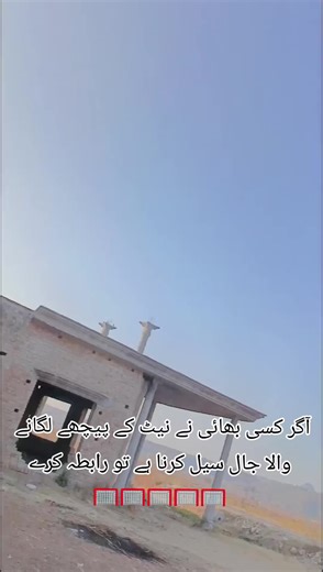 How to Properly Set Up a Volleyball Net