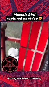 💡 Did you know there is a book called “Know the Only Truth”? You can read it from the link in our profile 👁️🤫 Follow me on @conspiraciesuncovered_ 👈🏼 Give it a like if you liked it 🤎 I read you in the comments 👀 Share 📲 (Ignore tags) #mystery #knowthetruth #books #official | Conspiracies Uncovered