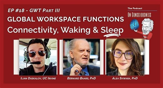 #18 — Global Workspace Functions, the Brain and Consciousness: Connectivity, Waking, & Sleep