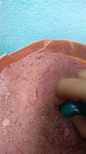 drymudcrumbling#Asmrsoft&soft#