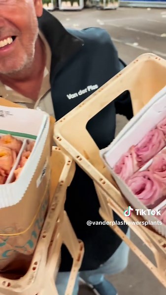 Arie takes you straight into this week’s rose promo 👀🩷 Scented beauties from Parfum Flower Company, full of charm, character and romance. Now in promo on the webshop ✨ #rosepromo #parfumflowercompany #scentedroses #vanderplasflowers #flowerwholesale #cutflowers #floristfavourites #floralinspiration #b2bflowers #seasonalblooms