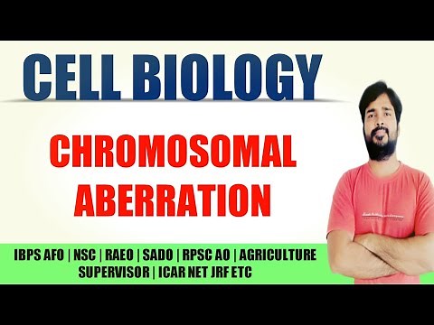 Chromosomal Aberration | Deletion | Duplication | Inversion | Translocation