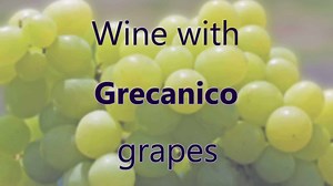 Grecanico is one of the great varieties of white wine grape from Italy.