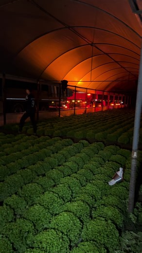 Asker Tarım: Halitcan ile Tarımda Fark Yarat