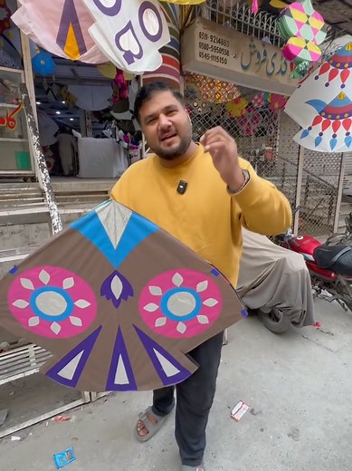 Ultimate Guide to Kite Flying Tips and Techniques